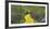 Path in a forest, Wizard of Oz Park, North Carolina, USA-Panoramic Images-Framed Photographic Print