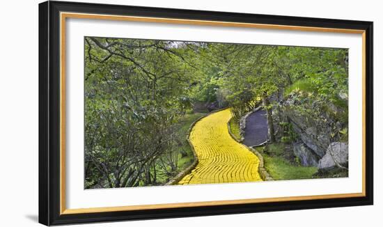 Path in a forest, Wizard of Oz Park, North Carolina, USA-Panoramic Images-Framed Photographic Print