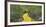 Path in a forest, Wizard of Oz Park, North Carolina, USA-Panoramic Images-Framed Photographic Print