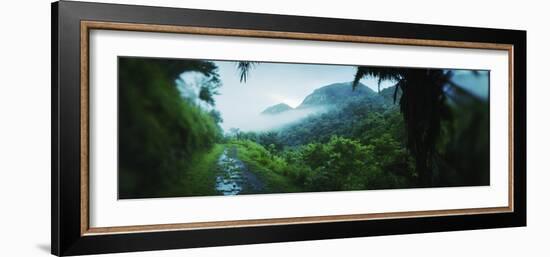 Path in a Rainforest, Cayo District, Belize-null-Framed Photographic Print