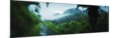 Photographic Print