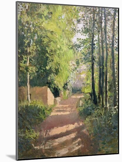 Path in a Wood in Normandy-Gustave Caillebotte-Mounted Giclee Print