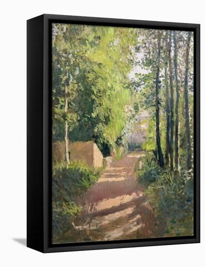 Path in a Wood in Normandy-Gustave Caillebotte-Framed Premier Image Canvas