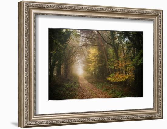 Path in Autumn Forest-Philippe Manguin-Framed Photographic Print