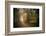 Path in Autumn Forest-Philippe Manguin-Framed Photographic Print