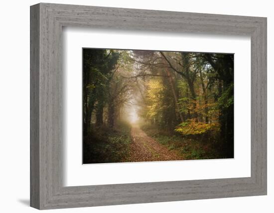 Path in Autumn Forest-Philippe Manguin-Framed Photographic Print