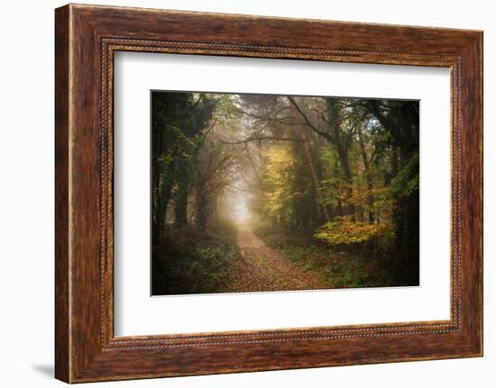 Path in Autumn Forest-Philippe Manguin-Framed Photographic Print