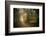 Path in Autumn Forest-Philippe Manguin-Framed Photographic Print