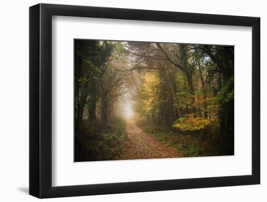 Path in Autumn Forest-Philippe Manguin-Framed Photographic Print