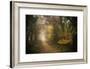 Path in Autumn Forest-Philippe Manguin-Framed Photographic Print