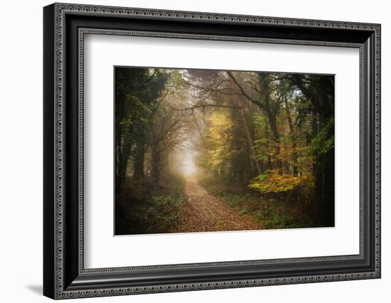 Path in Autumn Forest-Philippe Manguin-Framed Photographic Print