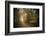 Path in Autumn Forest-Philippe Manguin-Framed Photographic Print