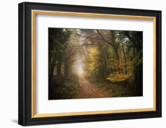 Path in Autumn Forest-Philippe Manguin-Framed Photographic Print