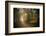 Path in Autumn Forest-Philippe Manguin-Framed Photographic Print