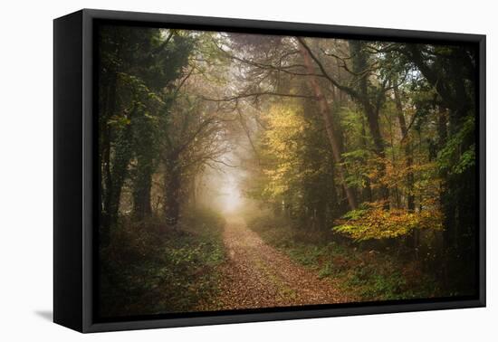 Path in Autumn Forest-Philippe Manguin-Framed Premier Image Canvas