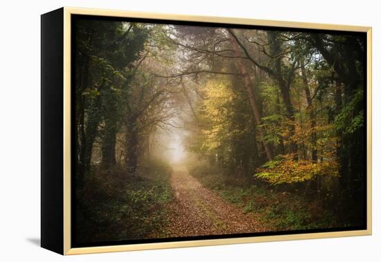 Path in Autumn Forest-Philippe Manguin-Framed Premier Image Canvas