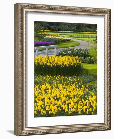 Path in Daffodil Garden-Anna Miller-Framed Photographic Print