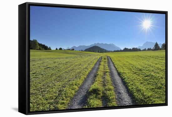 Path in meadow with sun, Gerold, Werdenfelser Land, Upper Bavaria, Bavaria, Germany-Raimund Linke-Framed Stretched Canvas