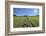 Path in meadow with sun, Gerold, Werdenfelser Land, Upper Bavaria, Bavaria, Germany-Raimund Linke-Framed Photographic Print