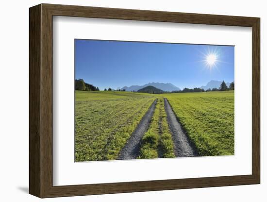 Path in meadow with sun, Gerold, Werdenfelser Land, Upper Bavaria, Bavaria, Germany-Raimund Linke-Framed Photographic Print