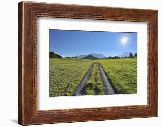 Path in meadow with sun, Gerold, Werdenfelser Land, Upper Bavaria, Bavaria, Germany-Raimund Linke-Framed Photographic Print