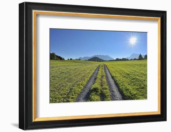 Path in meadow with sun, Gerold, Werdenfelser Land, Upper Bavaria, Bavaria, Germany-Raimund Linke-Framed Photographic Print