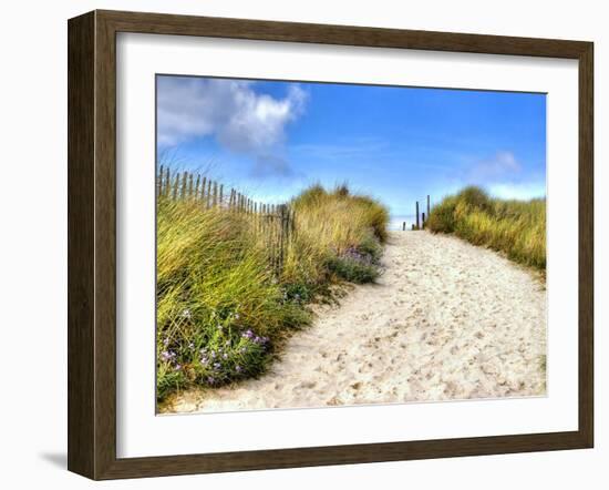 Path in the Dunes Going to the Seaside-Chantal de Bruijne-Framed Photographic Print