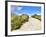 Path in the Dunes Going to the Seaside-Chantal de Bruijne-Framed Photographic Print