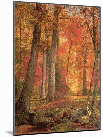 Path in the Forest, 1865-William Trost Richards-Mounted Giclee Print