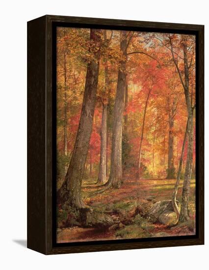 Path in the Forest, 1865-William Trost Richards-Framed Premier Image Canvas