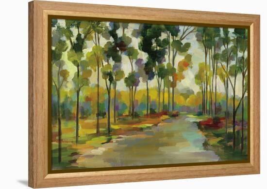 Path in the Forest-Silvia Vassileva-Framed Stretched Canvas