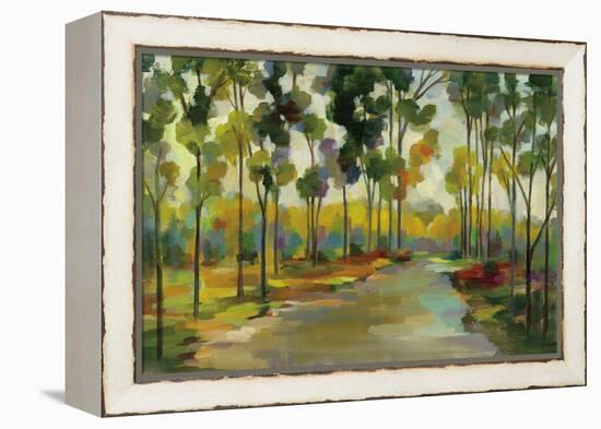 Path in the Forest-Silvia Vassileva-Framed Stretched Canvas
