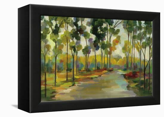 Path in the Forest-Silvia Vassileva-Framed Stretched Canvas