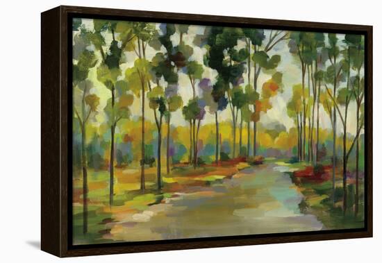 Path in the Forest-Silvia Vassileva-Framed Stretched Canvas