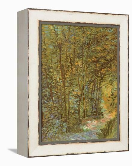 Path in the Woods, 1887-Vincent van Gogh-Framed Premier Image Canvas