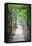 Path in the Woods-George Oze-Framed Premier Image Canvas