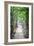 Path in the Woods-George Oze-Framed Photographic Print