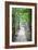 Path in the Woods-George Oze-Framed Photographic Print