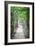 Path in the Woods-George Oze-Framed Photographic Print