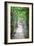 Path in the Woods-George Oze-Framed Photographic Print