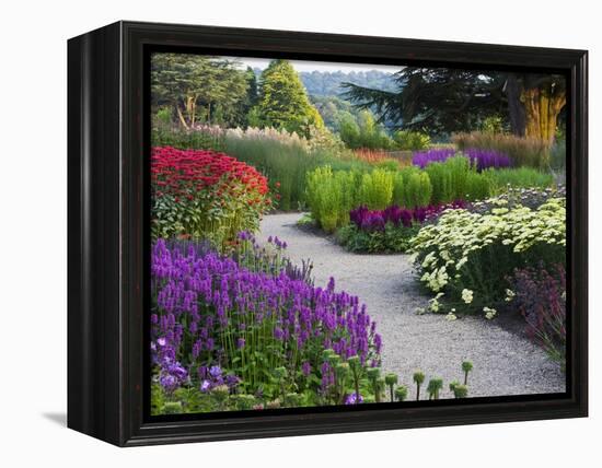 Path in Trentham Gardens-Clive Nichols-Framed Premier Image Canvas