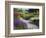 Path in Trentham Gardens-Clive Nichols-Framed Photographic Print