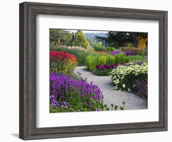 Path in Trentham Gardens-Clive Nichols-Framed Photographic Print