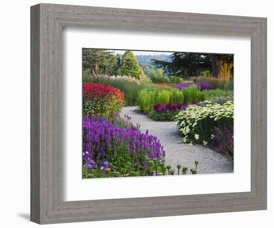 Path in Trentham Gardens-Clive Nichols-Framed Photographic Print