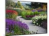 Path in Trentham Gardens-Clive Nichols-Mounted Photographic Print