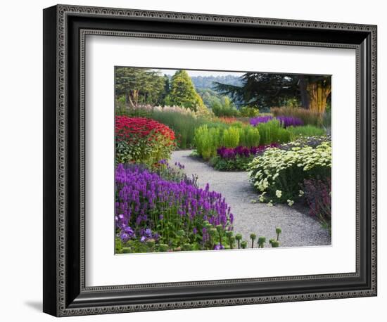 Path in Trentham Gardens-Clive Nichols-Framed Photographic Print