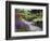 Path in Trentham Gardens-Clive Nichols-Framed Photographic Print