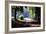 Path Into the Woods, Burgandy, France ‘99-Monte Nagler-Framed Photographic Print