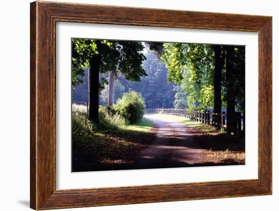 Path Into the Woods, Burgandy, France ‘99-Monte Nagler-Framed Photographic Print