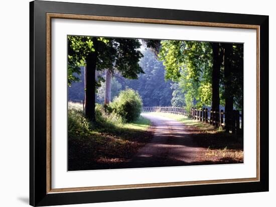 Path Into the Woods, Burgandy, France ‘99-Monte Nagler-Framed Photographic Print